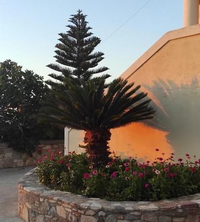 Small Patak House Psalidi  Exterior photo